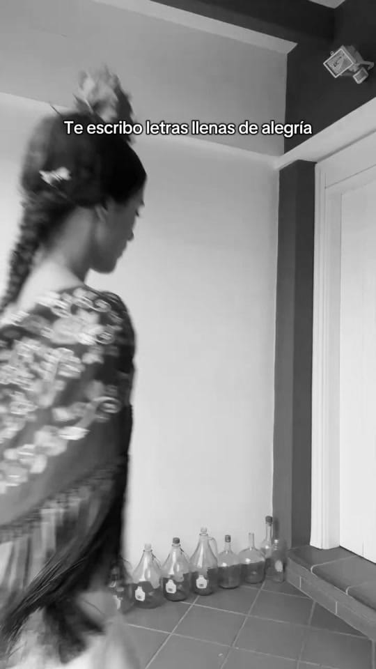 Post 6 by Lis Seda  •  🫶🏼 on TikTok (video)