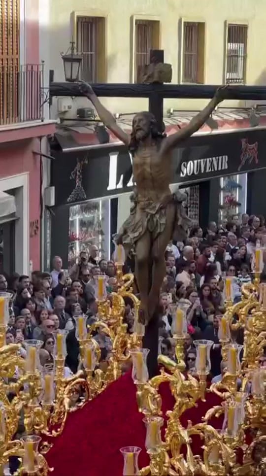 Post 5 by calleferia on TikTok (video)