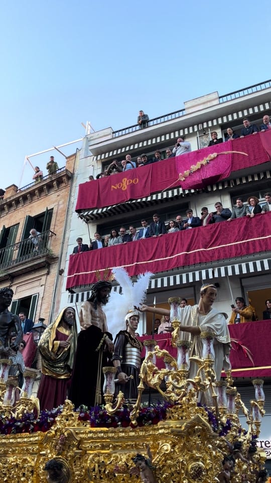Post 2 by calleferia on TikTok (video)