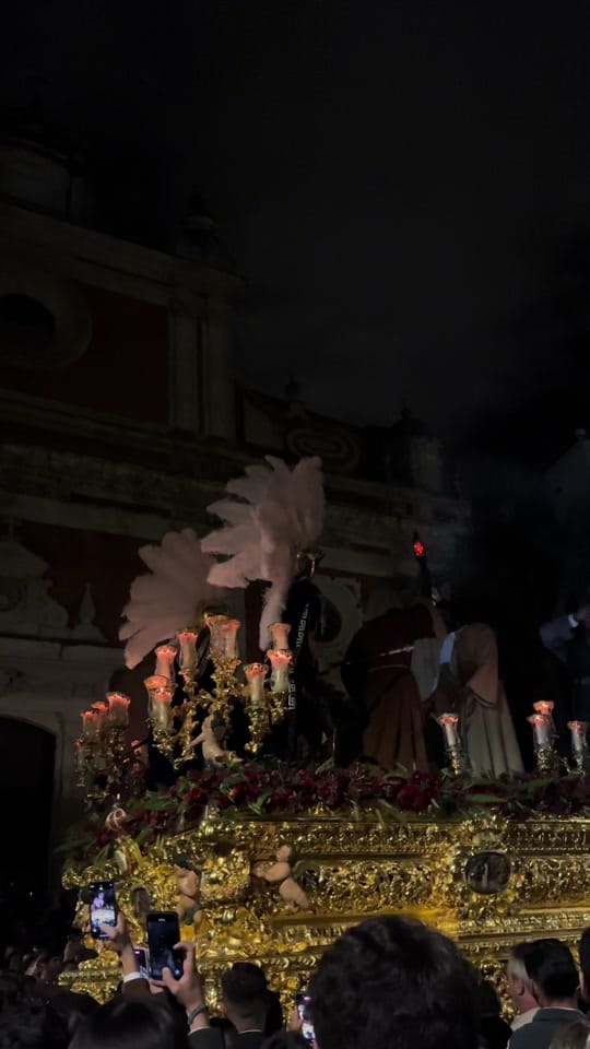 Post 8 by calleferia on TikTok (video)