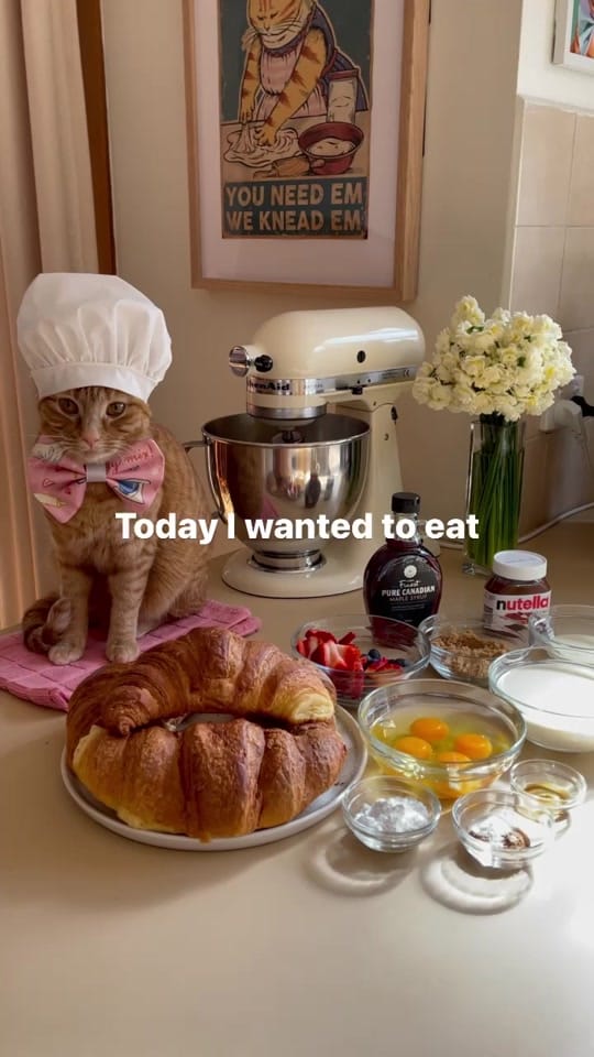 Post 8 by Princess Honeybelle 🇦🇺 on TikTok (video)