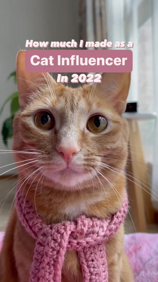 Post 9 by Princess Honeybelle 🇦🇺 on TikTok (video)