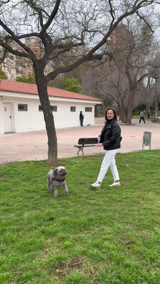 Post 5 by casetesinmobiliaria on TikTok (video)