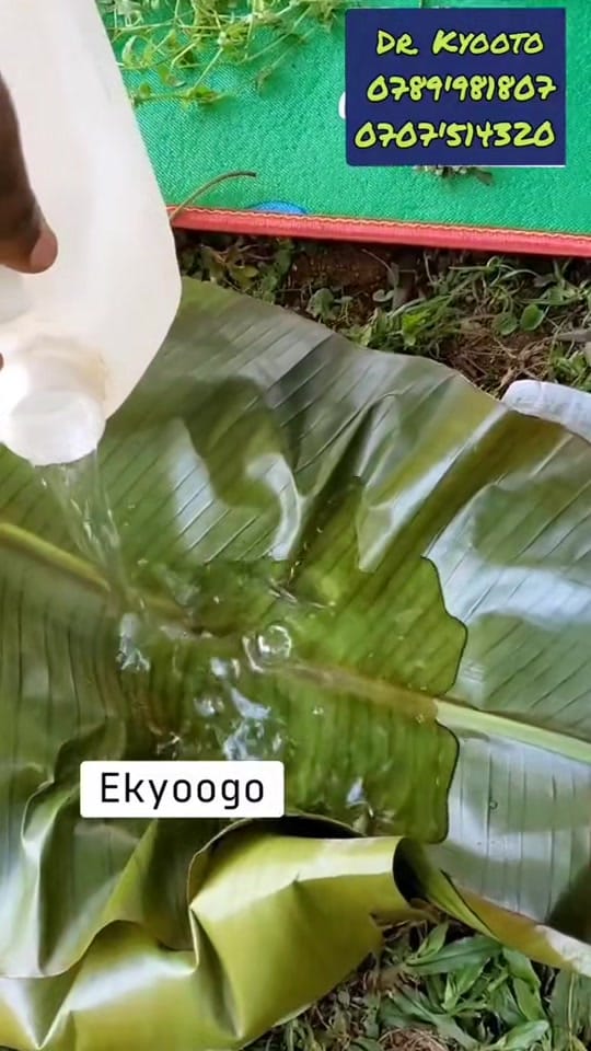 Post 3 by KYOOTO KITETA on TikTok (video)