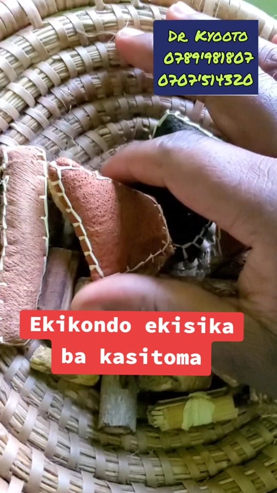 Post 10 by KYOOTO KITETA on TikTok (video)