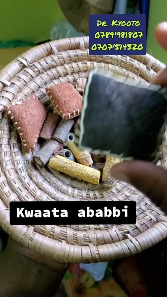 Post 9 by KYOOTO KITETA on TikTok (video)