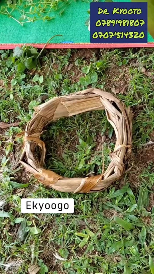 Post 4 by KYOOTO KITETA on TikTok (video)