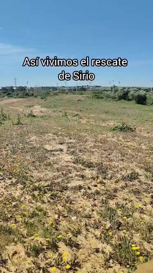 Post 1 by Uprodea Dos Hermanas on TikTok (video)