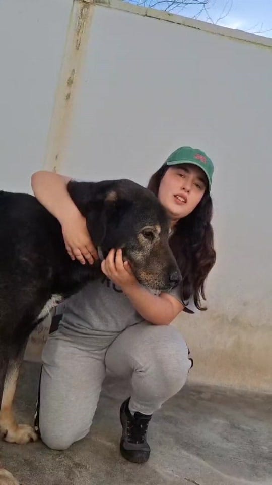 Post 7 by Uprodea Dos Hermanas on TikTok (video)