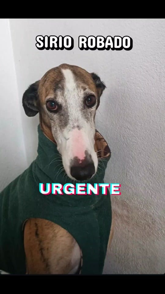 Post 3 by Uprodea Dos Hermanas on TikTok (video)