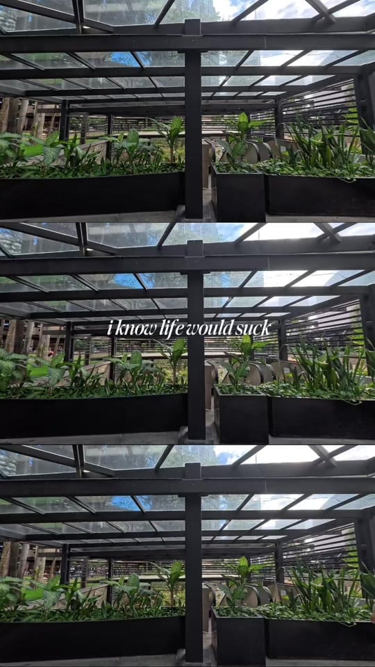 Post 6 by Sydney Villalongja on TikTok (video)