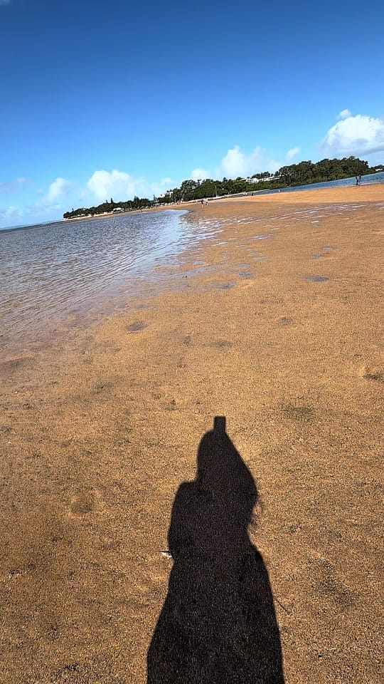 Post 1 by Purplexxox on TikTok (video)
