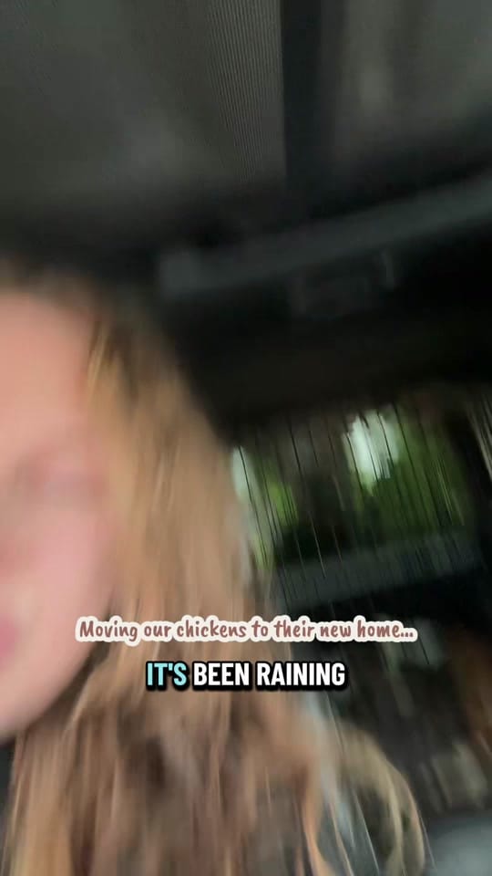 Post 4 by Rachel Parks on TikTok (video)