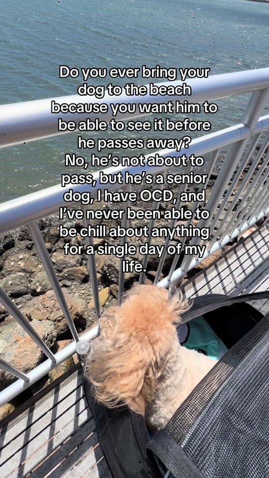 Post 3 by Ashley | Trauma Therapist on TikTok (video)