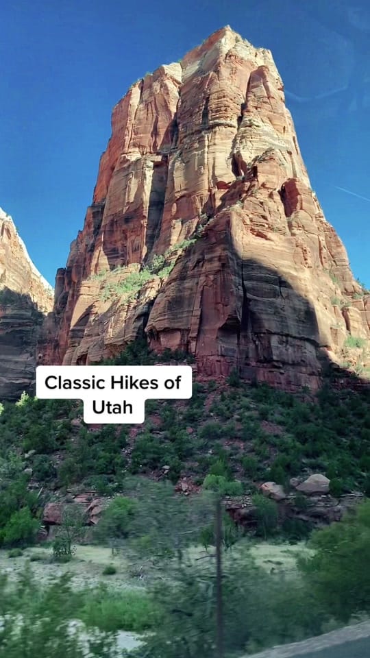 Post 3 by Olivia Britt Photo on TikTok (video)