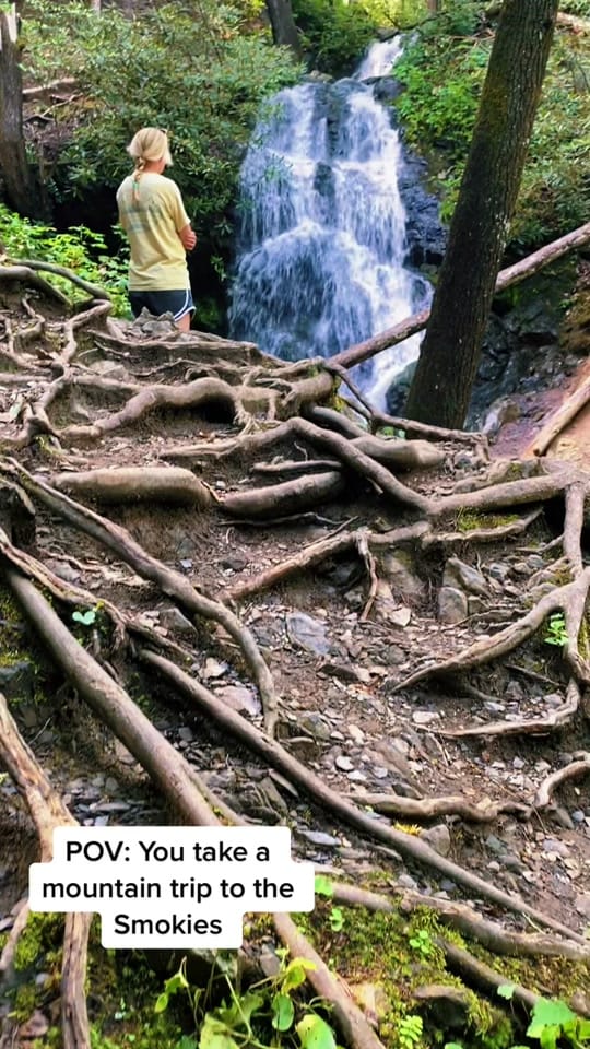 Post 6 by Olivia Britt Photo on TikTok (video)