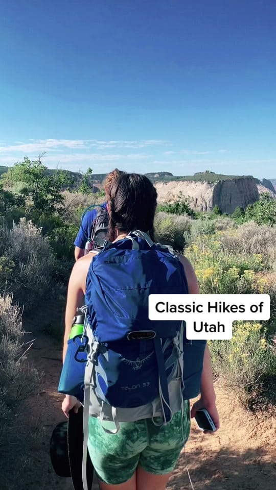 Post 2 by Olivia Britt Photo on TikTok (video)