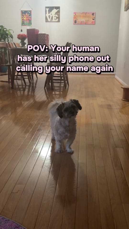Post 5 by Annie ✌️☮️ on TikTok (video)