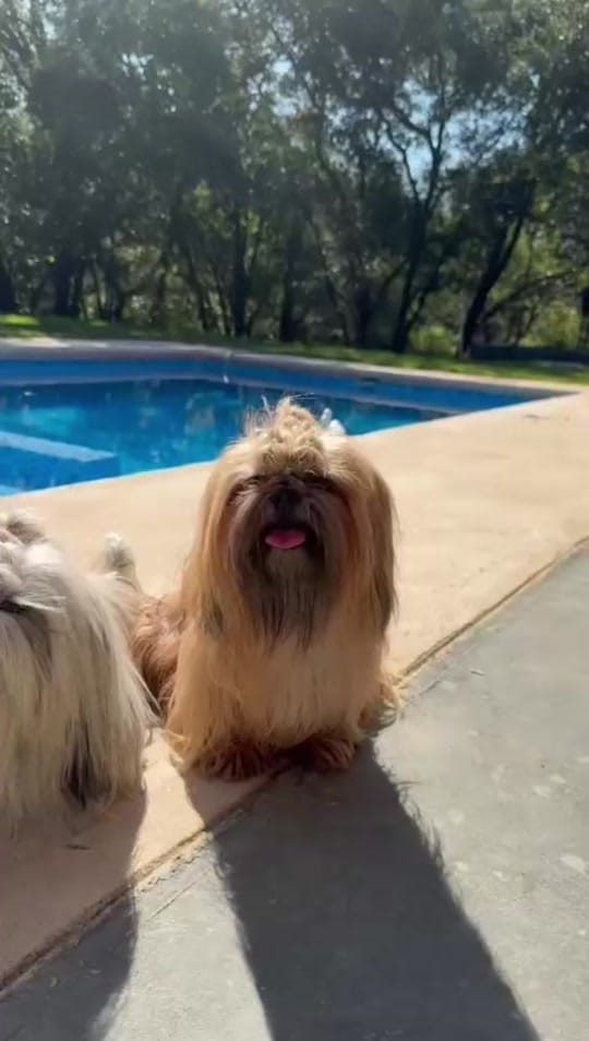 Post 4 by Andes estancia on TikTok (video)