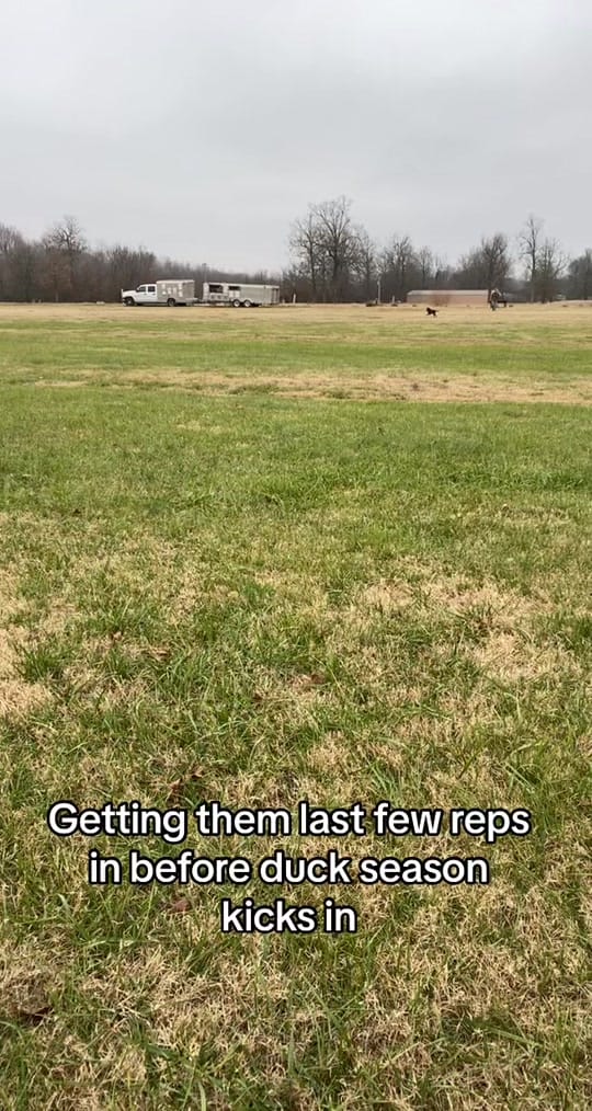 Post 10 by Sydney Cole on TikTok (video)