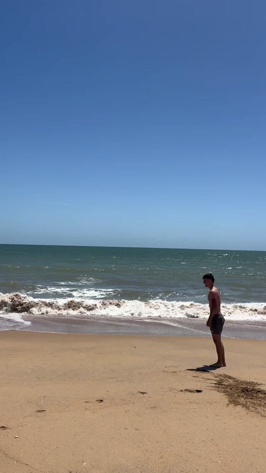 Post 4 by aletrigoo on TikTok (video)