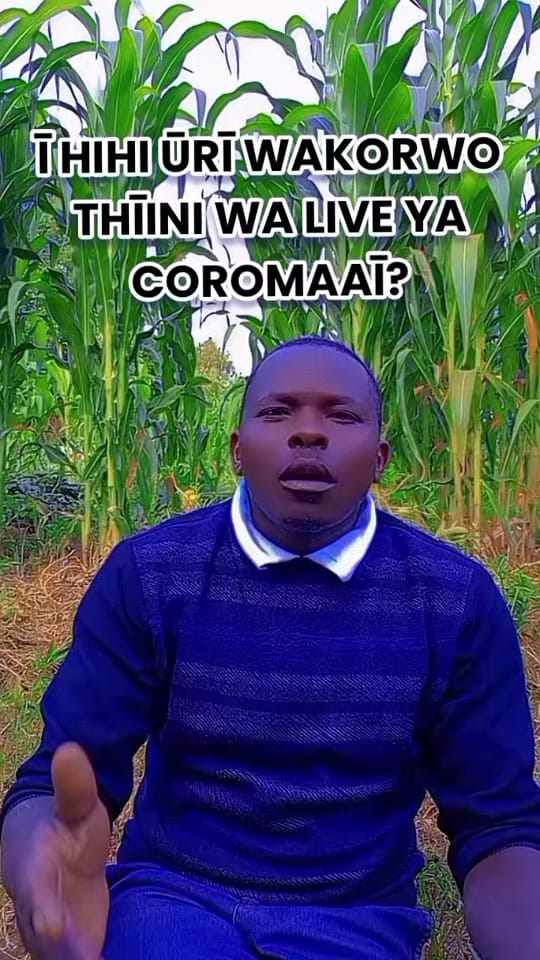 Post 6 by Coro maaī on TikTok (video)