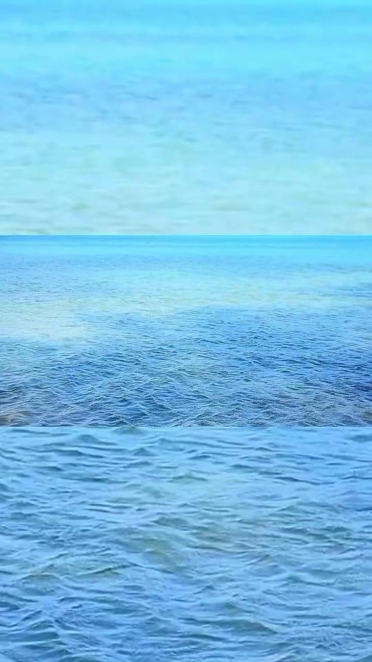 Post 9 by Coro maaī on TikTok (video)