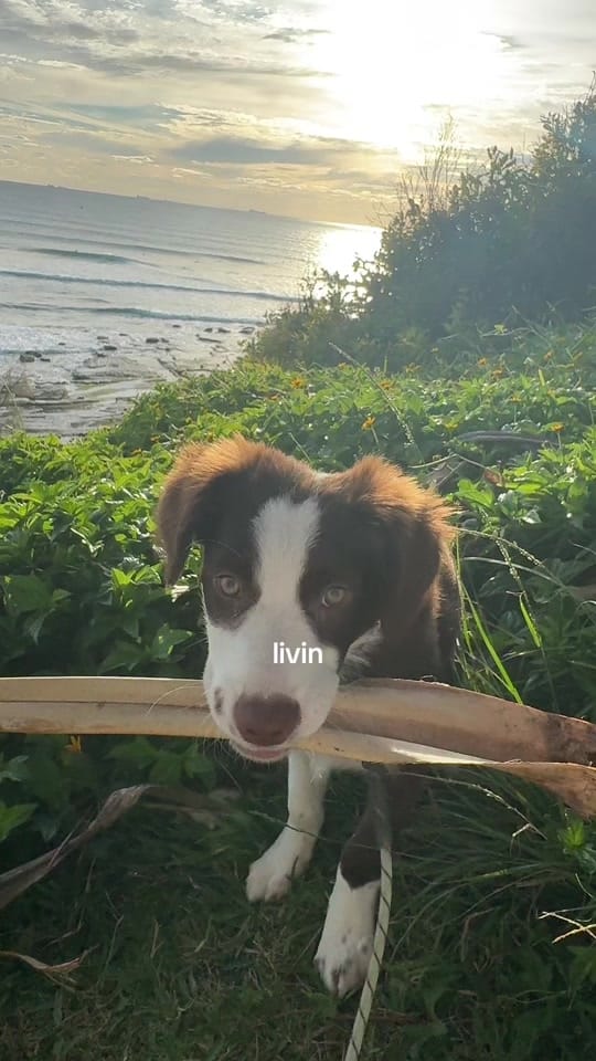 Post 8 by Laura 𐙚⋆˙ on TikTok (video)