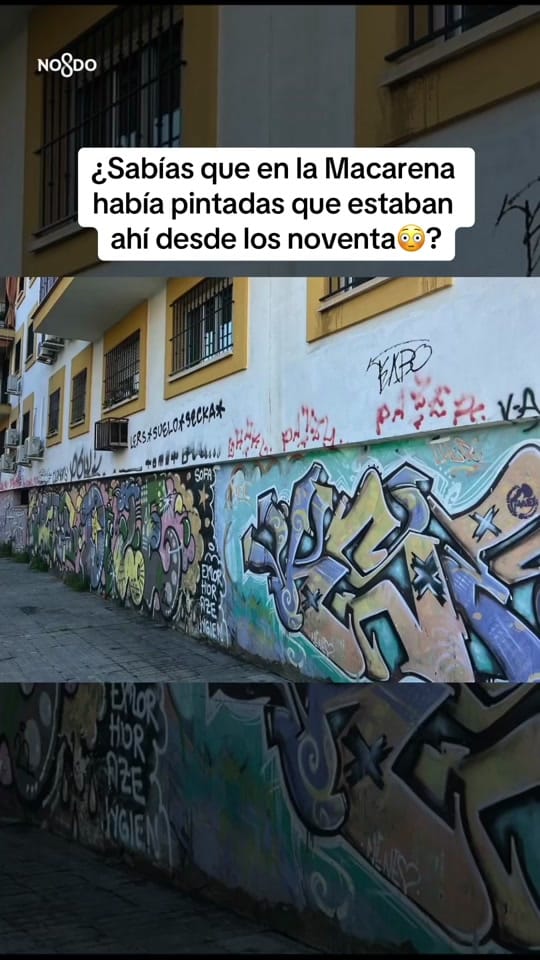 Post 8 by Sanz Alcalde Sevilla on TikTok (video)