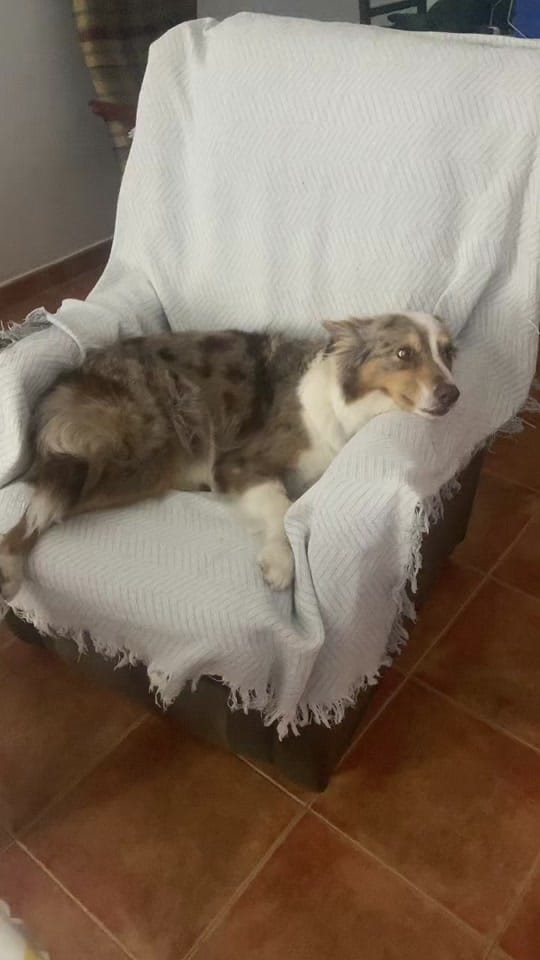 Post 6 by Er kikon on TikTok (video)