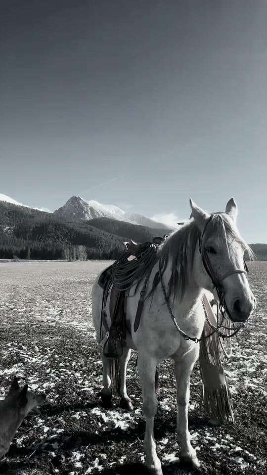 Post 7 by Tate Weingart on TikTok (video)