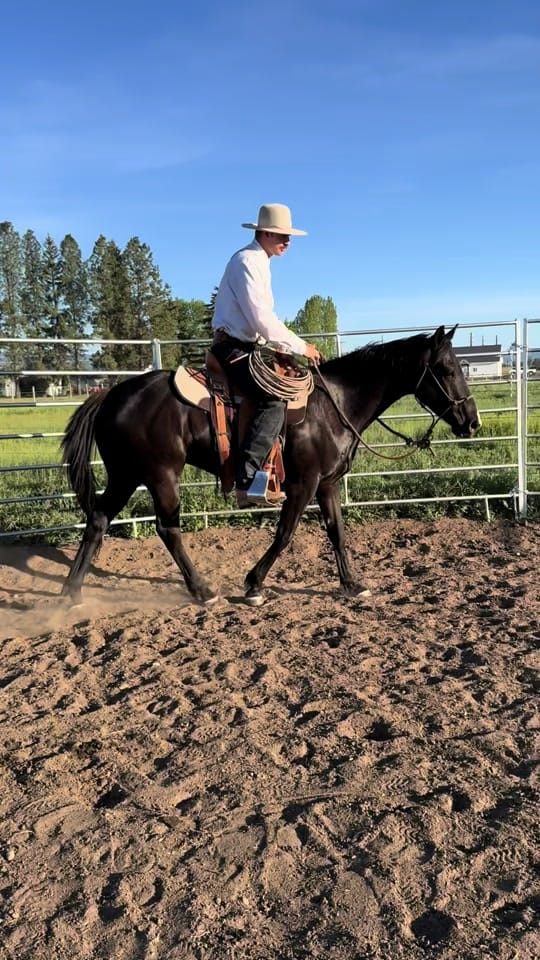 Post 2 by Tate Weingart on TikTok (video)