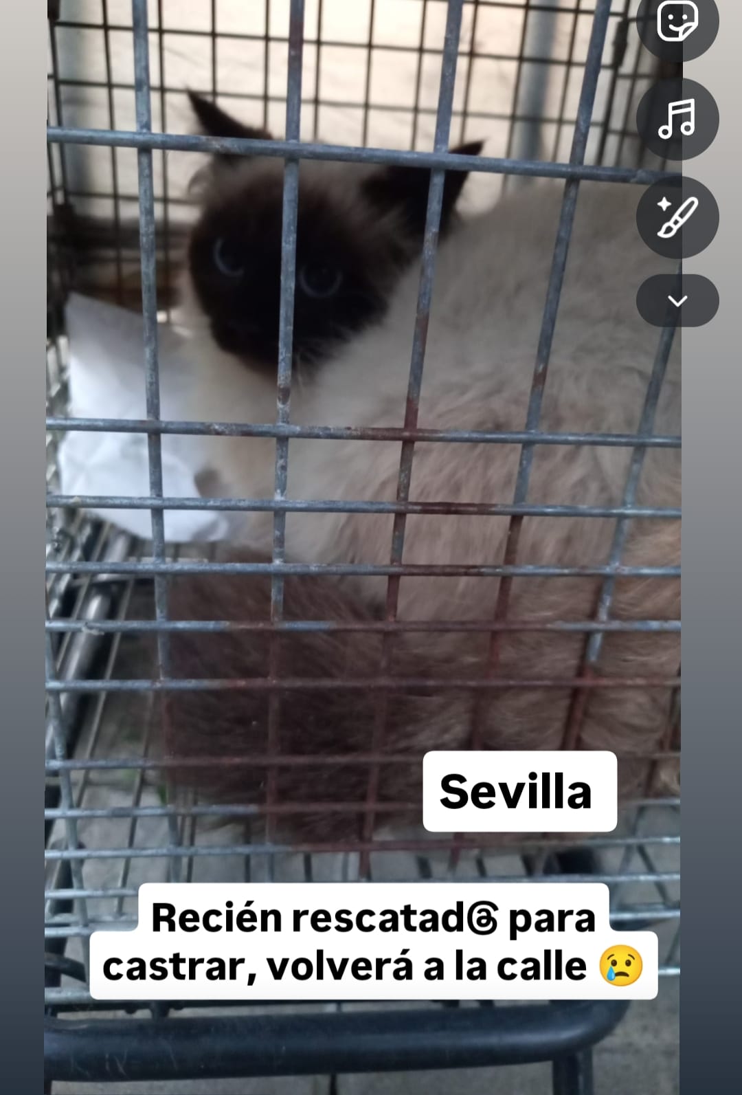 Post 8 by Buscandokaren on TikTok (video)