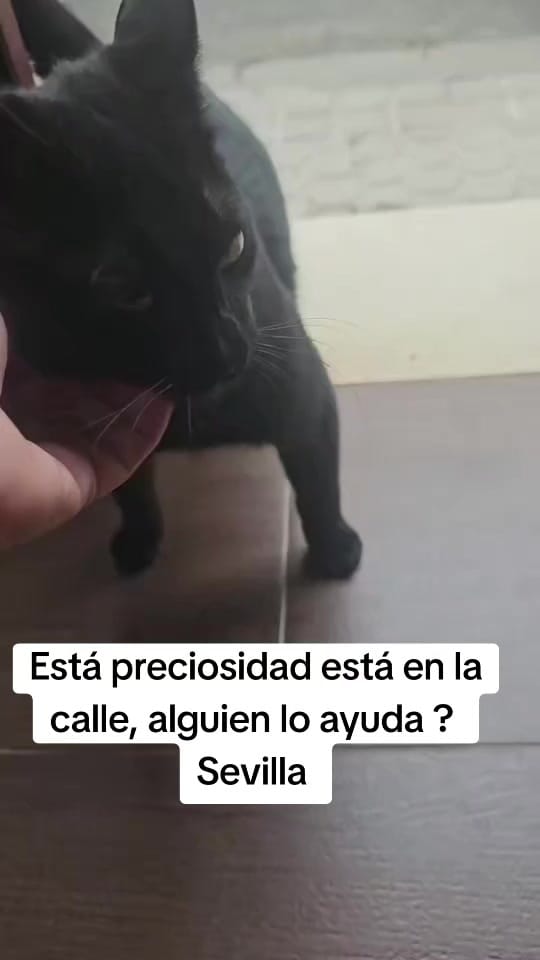 Post 6 by Buscandokaren on TikTok (video)