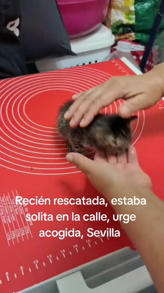 Post 2 by Buscandokaren on TikTok (video)