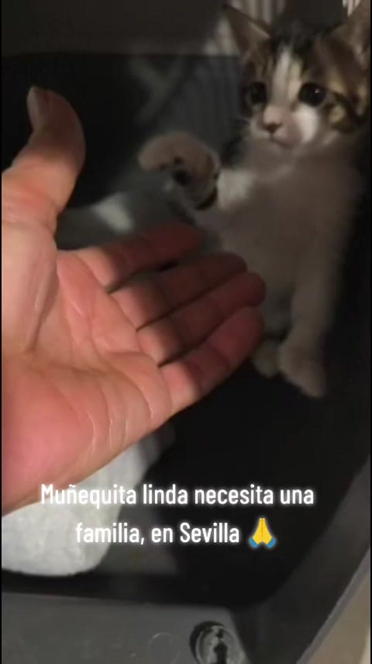 Post 1 by Buscandokaren on TikTok (video)