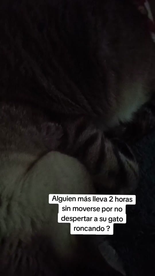 Post 9 by Buscandokaren on TikTok (video)