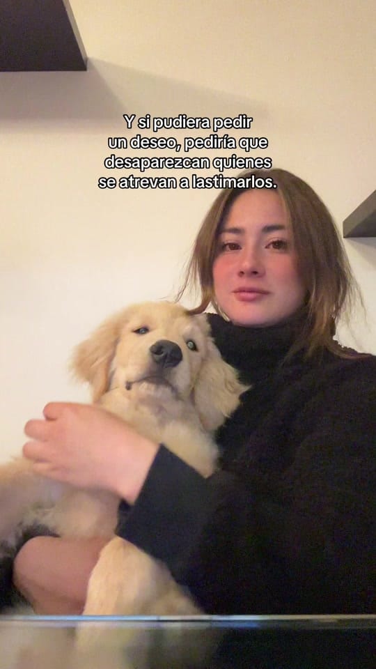 Post 7 by Caroline Nasevilla Blanco on TikTok (video)