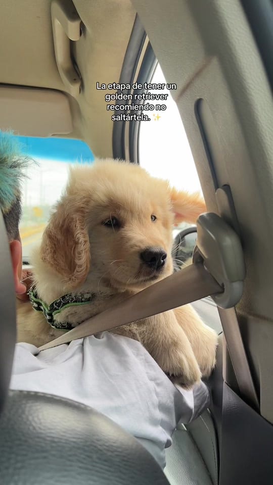 Post 6 by Caroline Nasevilla Blanco on TikTok (video)