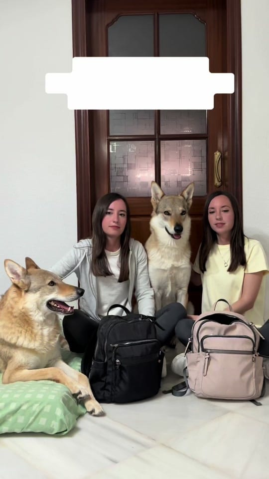 Post 7 by TwinsWolves on TikTok (video)