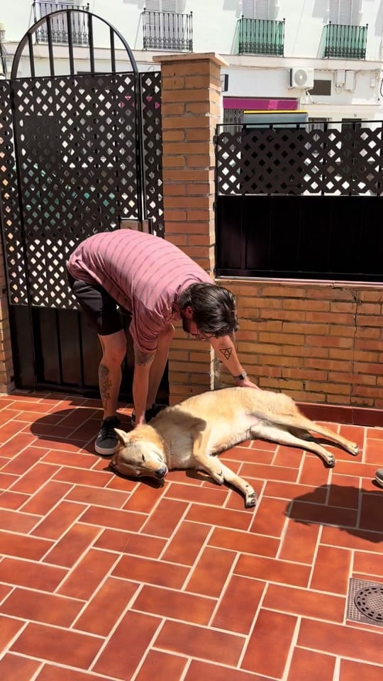 Post 4 by TwinsWolves on TikTok (video)