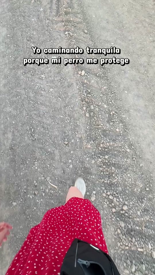 Post 1 by TwinsWolves on TikTok (video)