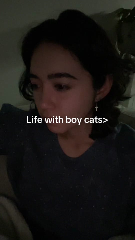 Post 5 by Arlen Sevilla on TikTok (video)