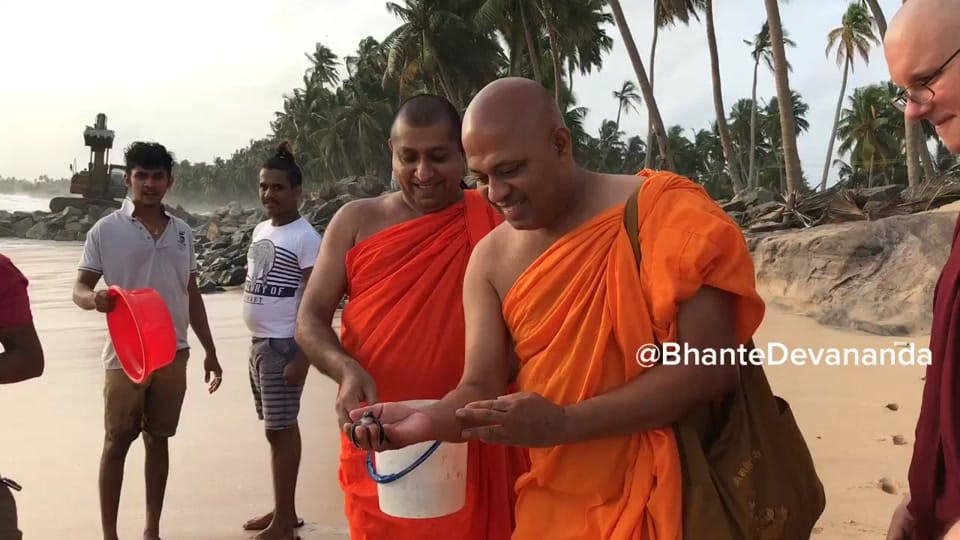 Post 10 by Bhante Devananda on TikTok (video)