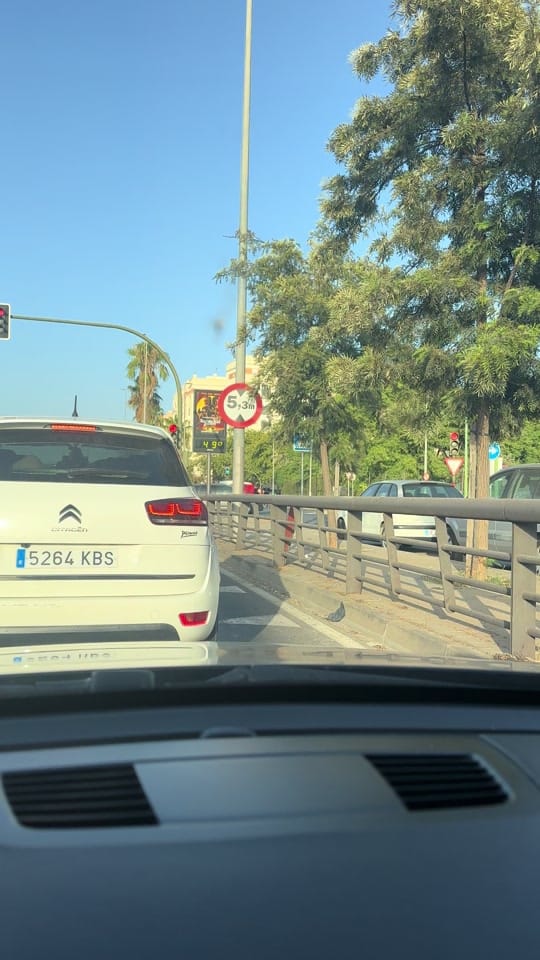 Post 1 by Antonio Villaseñor Sujar on TikTok (video)