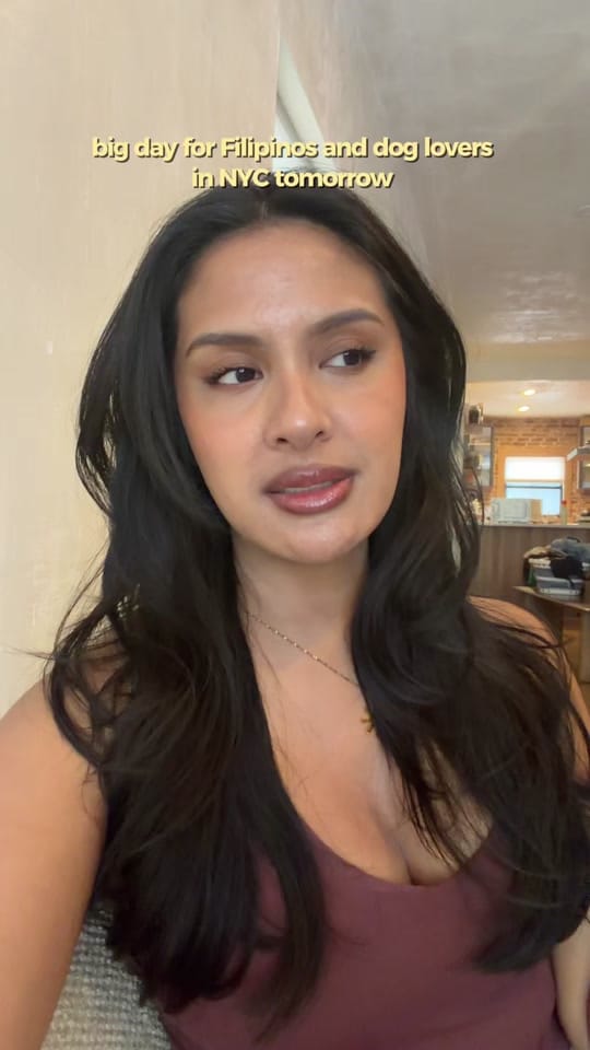 Post 4 by Isabella Revilla-Farrelly on TikTok (video)