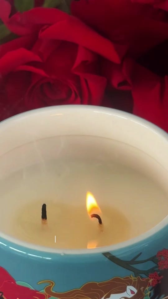 Post 4 by Stephanie Lai on TikTok (video)