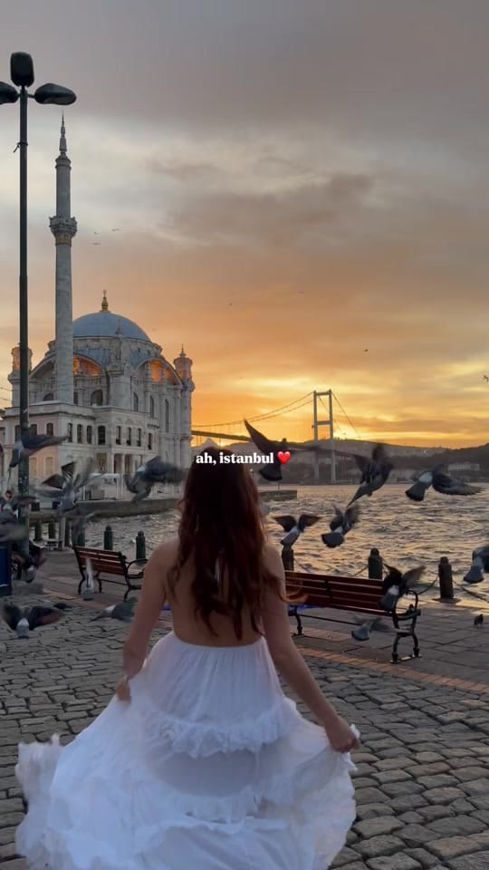 Post 7 by Stephanie Lai on TikTok (video)