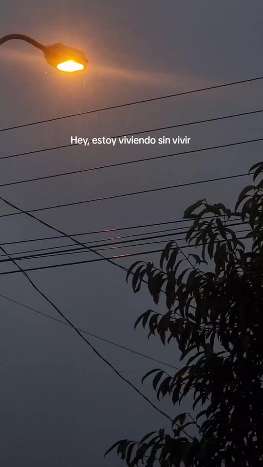 Post 4 by ️Bea🧚🏽‍♀️ on TikTok (video)