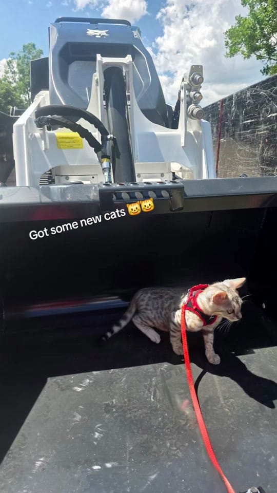 Post 5 by Carlos - Chi Contractor on TikTok (video)